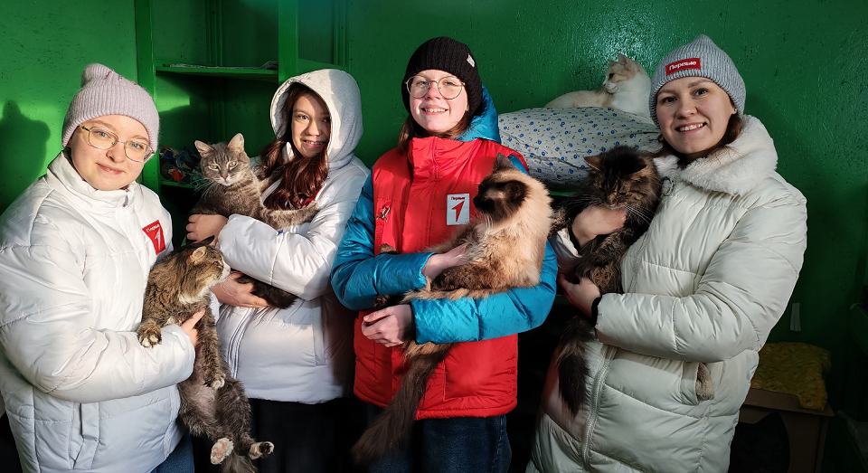 Лицеисты-активисты помогли бездомным котам