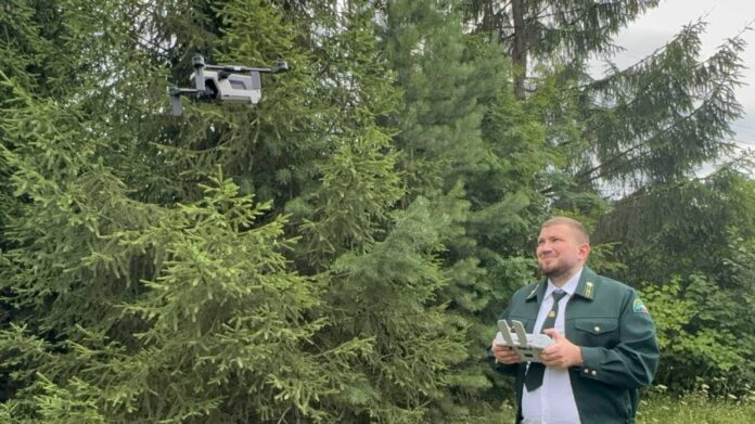 Лесных браконьеров на Урале ловят дронами