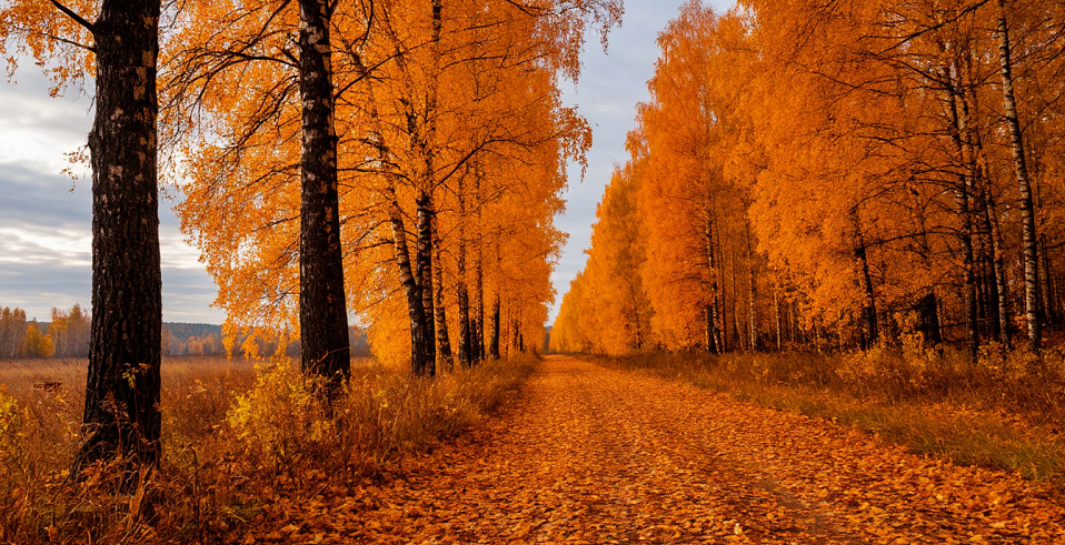 Ветер сегодня может дуть сильно