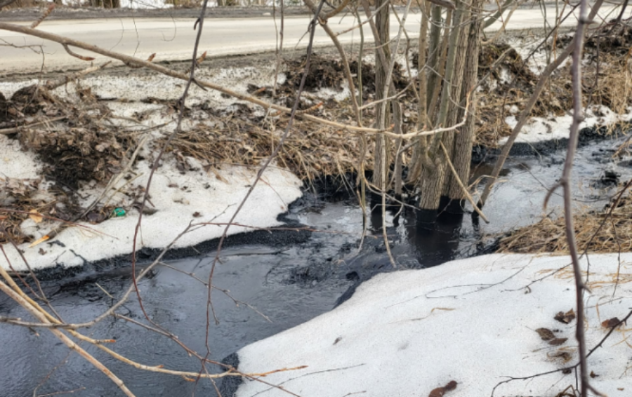 Ищут чиновники, ищет полиция. К вопросу о черной жидкости в канаве на Челюскинцев