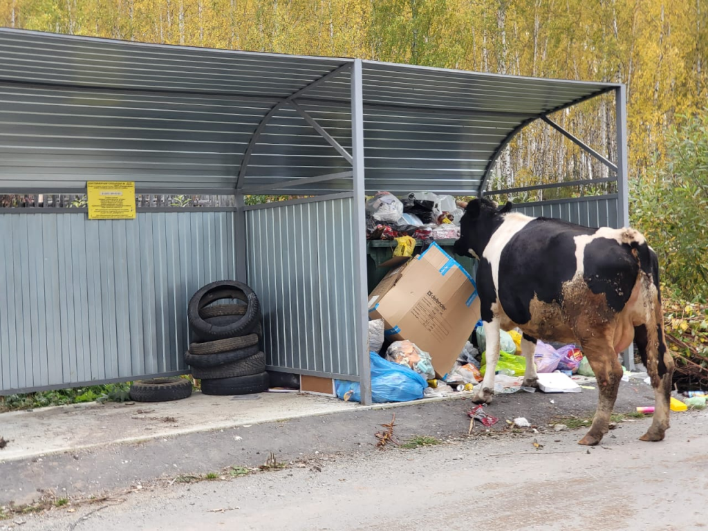 изображение_2025-09-22_152056826.png изображение_2025-09-22_152056826.png